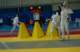 dsc_6387_20070527_nikond70_small.jpg