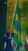 brazilianflagbearer_small.jpg